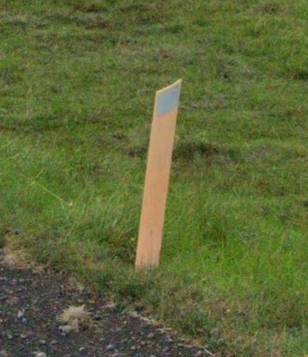 The elusive Icelandic Toenail