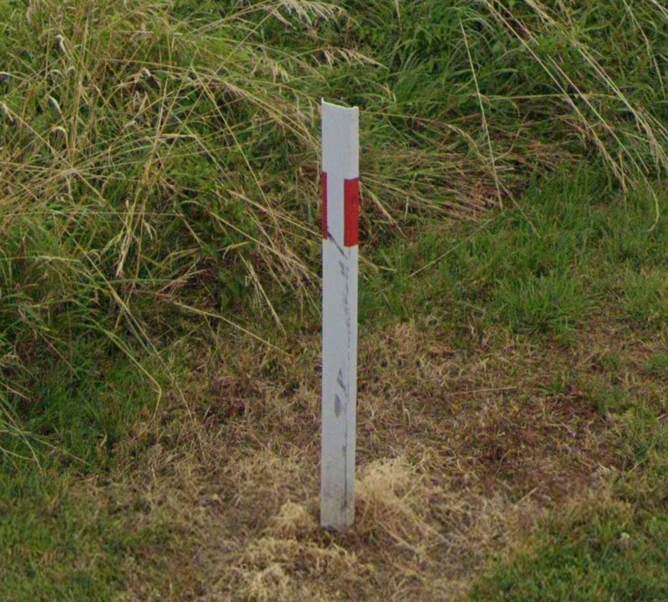 New Zealand Red Stripe from the back.